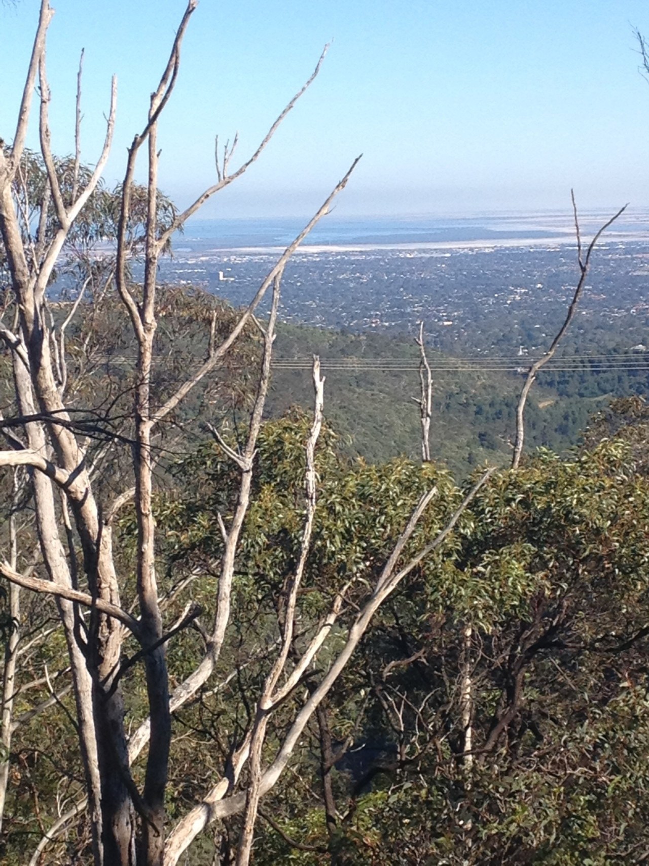Heading out of Adelaide through the hills and toward Mt Barker.