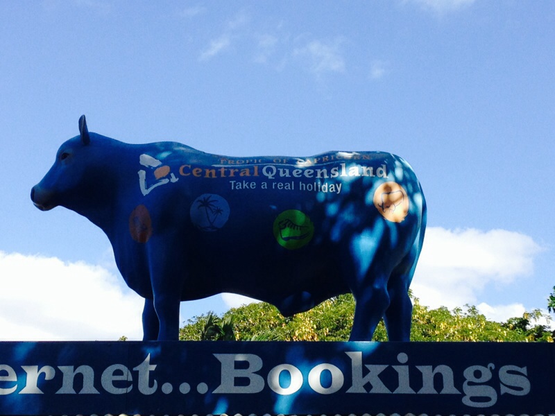 Resting up in&nbsp;Rocky