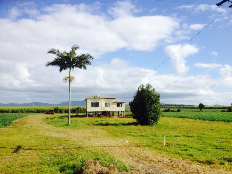 Mission Beach to Cairns, Kuranda to Daintree&nbsp;Village.