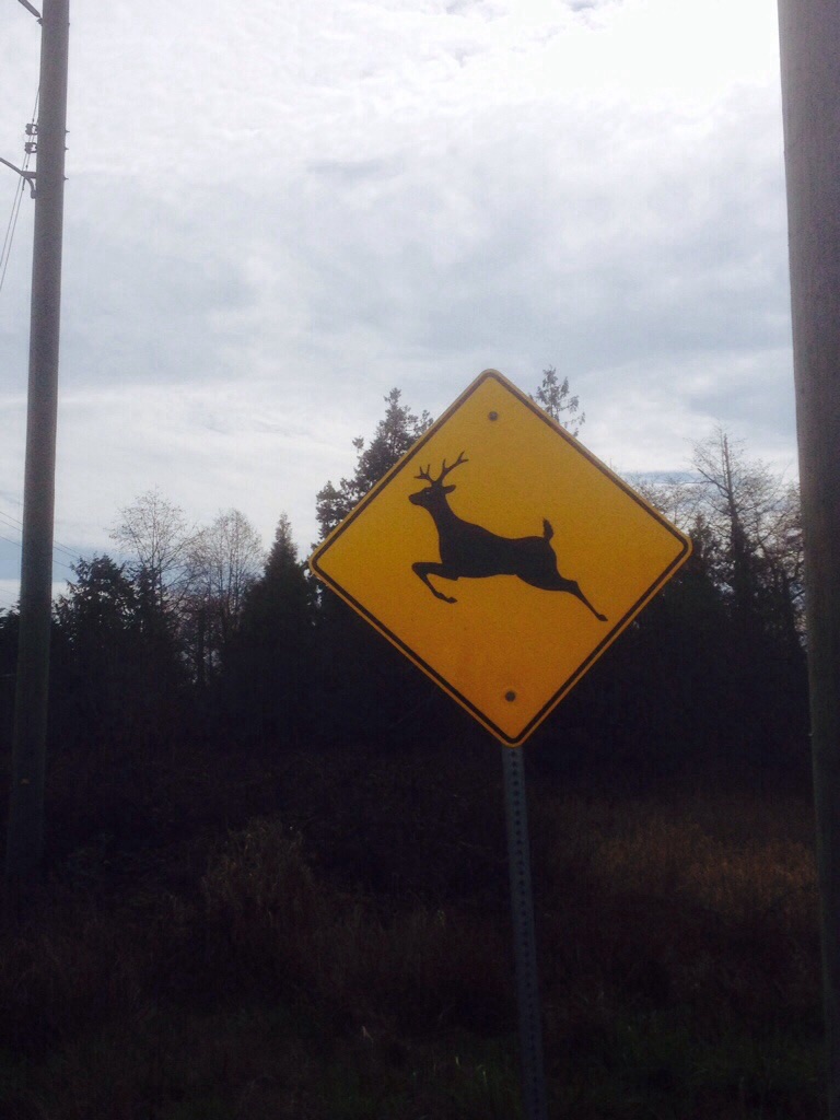 Ganges to Sidney&nbsp;BC