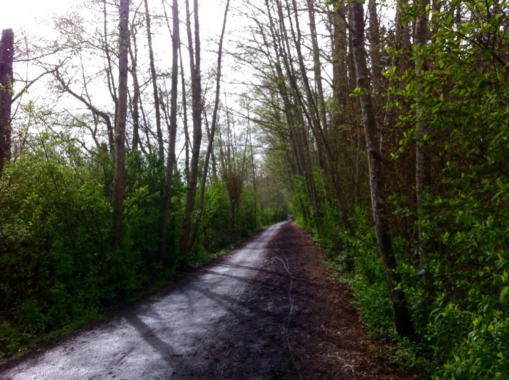 Wet, Wet, Wet in Victoria&nbsp;BC