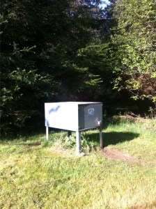 bear proof foods storage bin