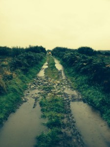 The track to Kilkee