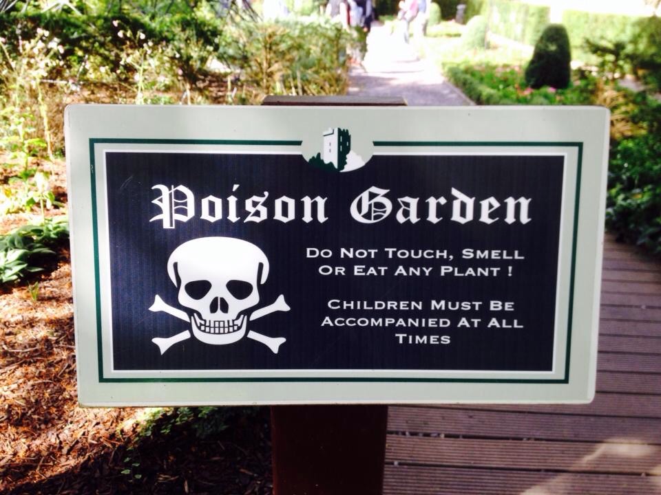 When Irish Eyes are&nbsp;Smiling