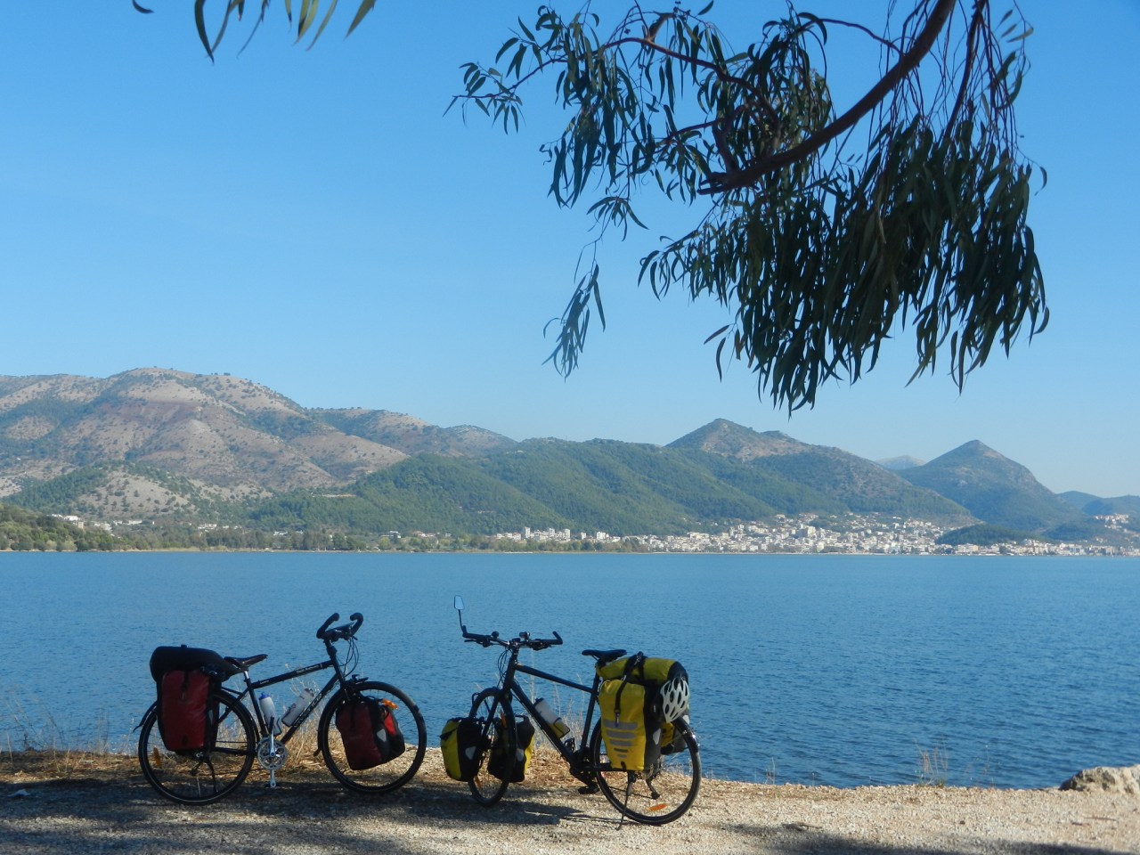 58814F56-AE78-469C-8253-C9DB4334EFDC