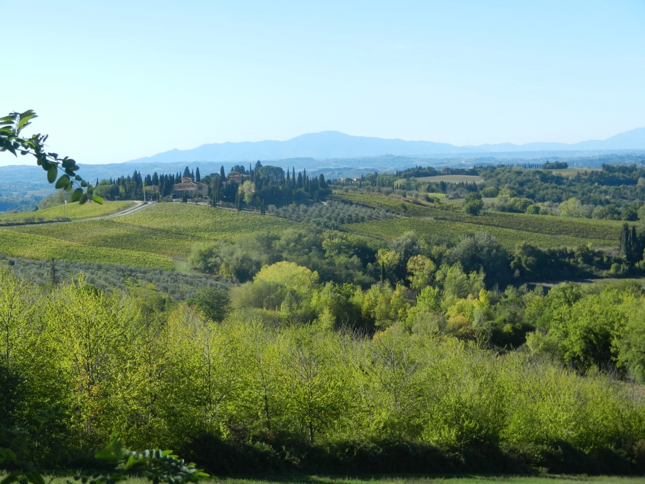 B8F8FC28-1172-41E7-AE02-12A076610CD5