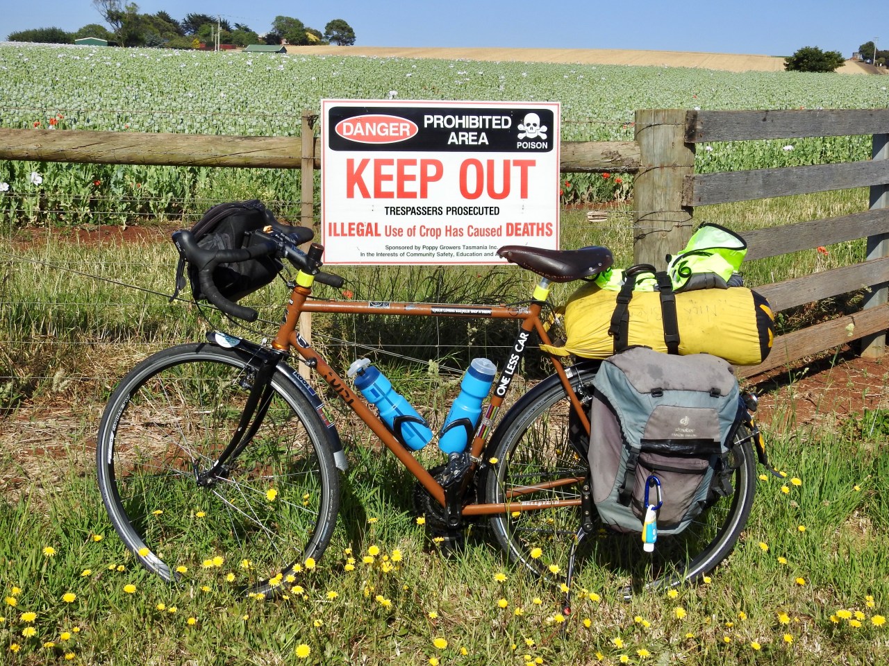 E420493B-2F6C-4428-8CBB-ED03F3E1FD88