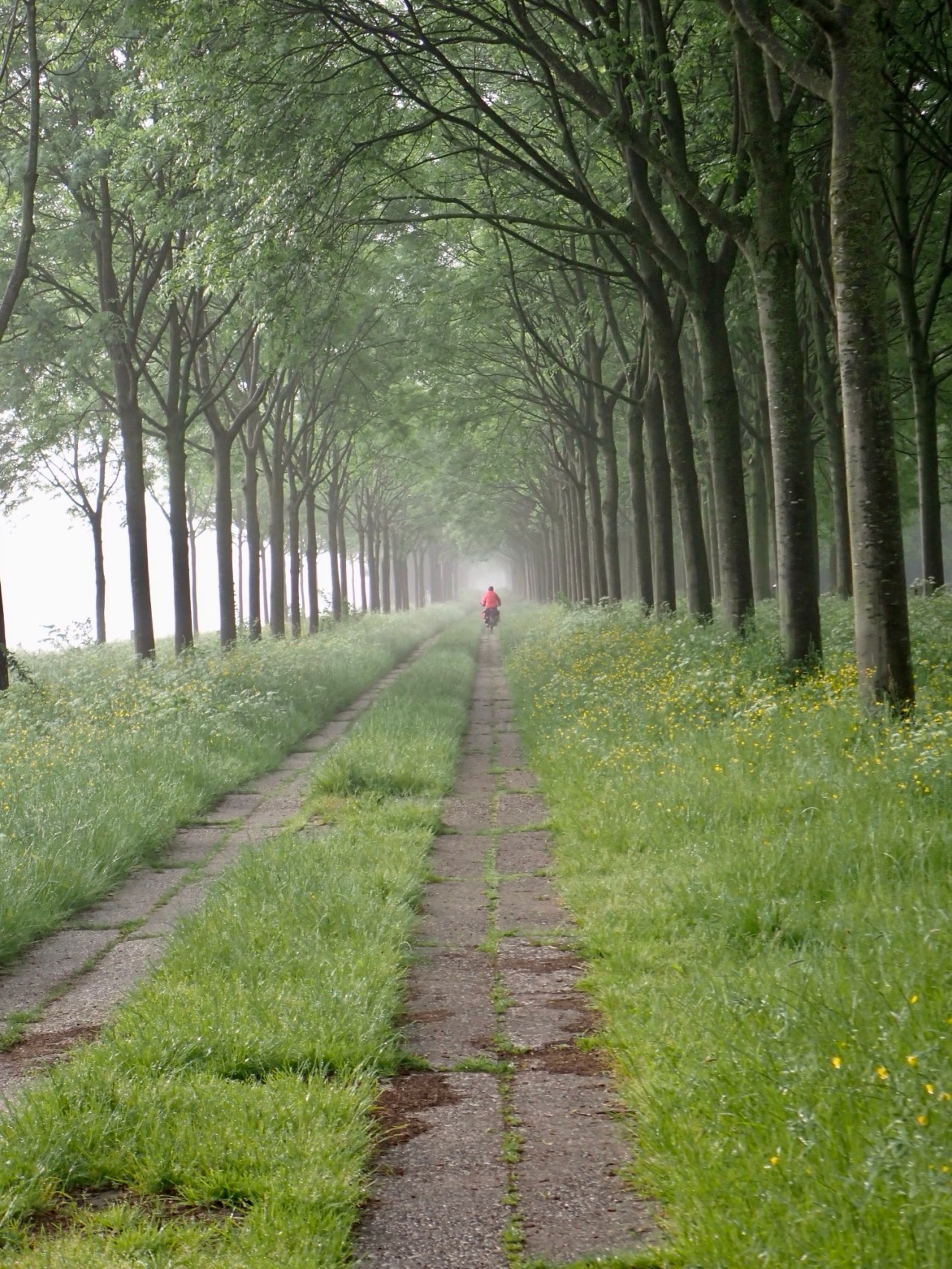 Cycling outside the&nbsp;box