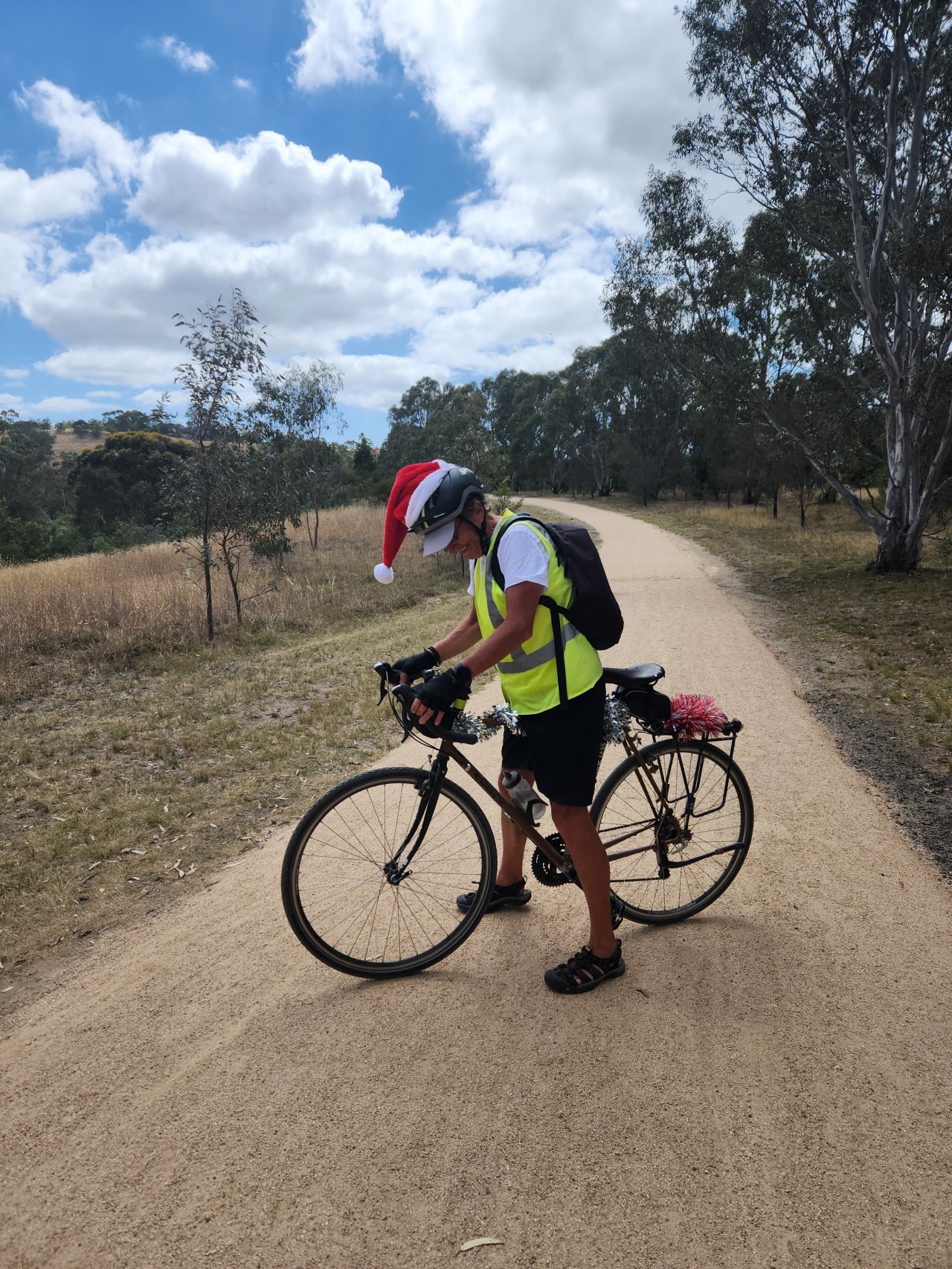 The Cycle of Life&nbsp;2024