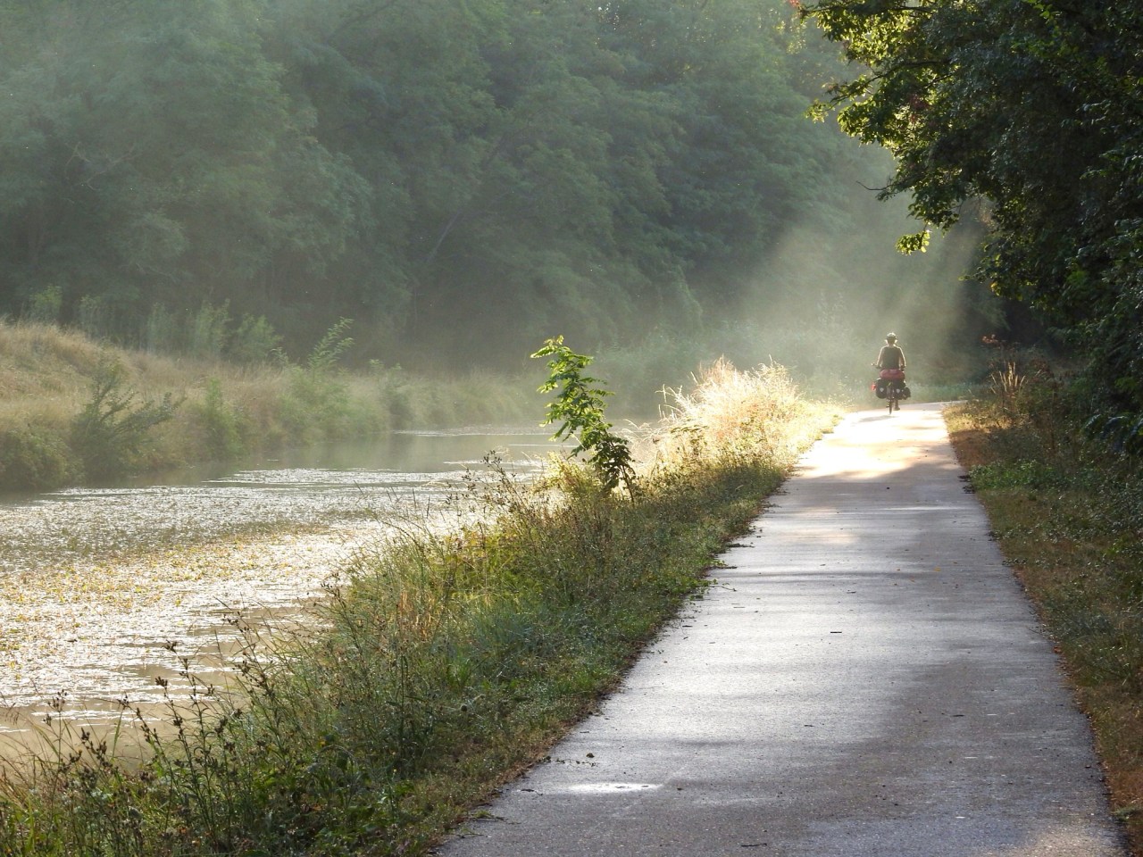 Life on a Bike: The Rhythm of the&nbsp;Road.&nbsp;